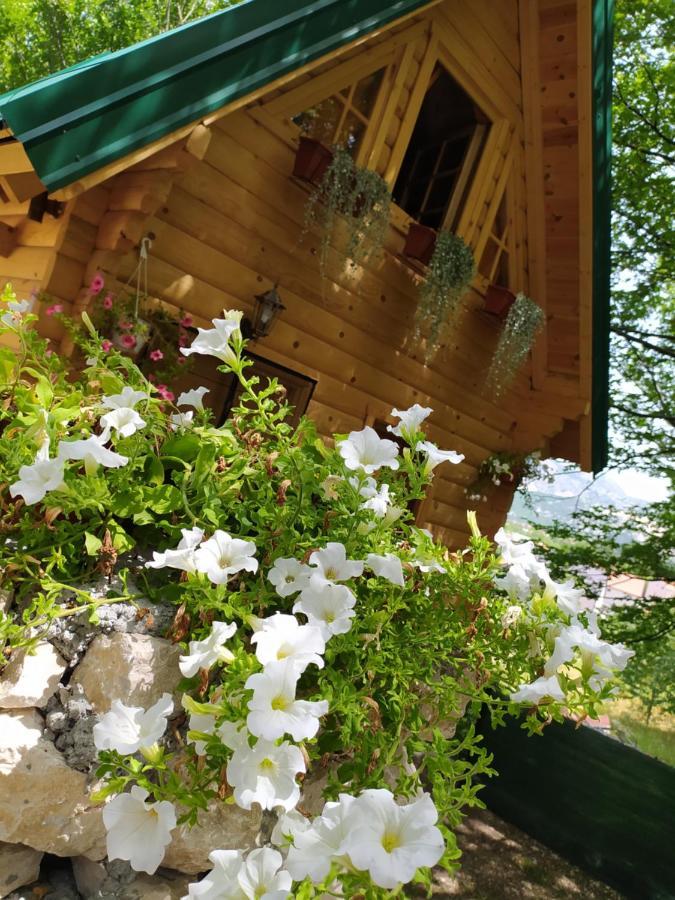 Villa Brvnara Fairy Tale Cetinje Exterior foto