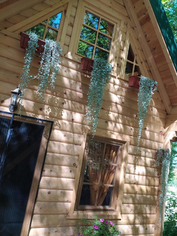 Villa Brvnara Fairy Tale Cetinje Exterior foto