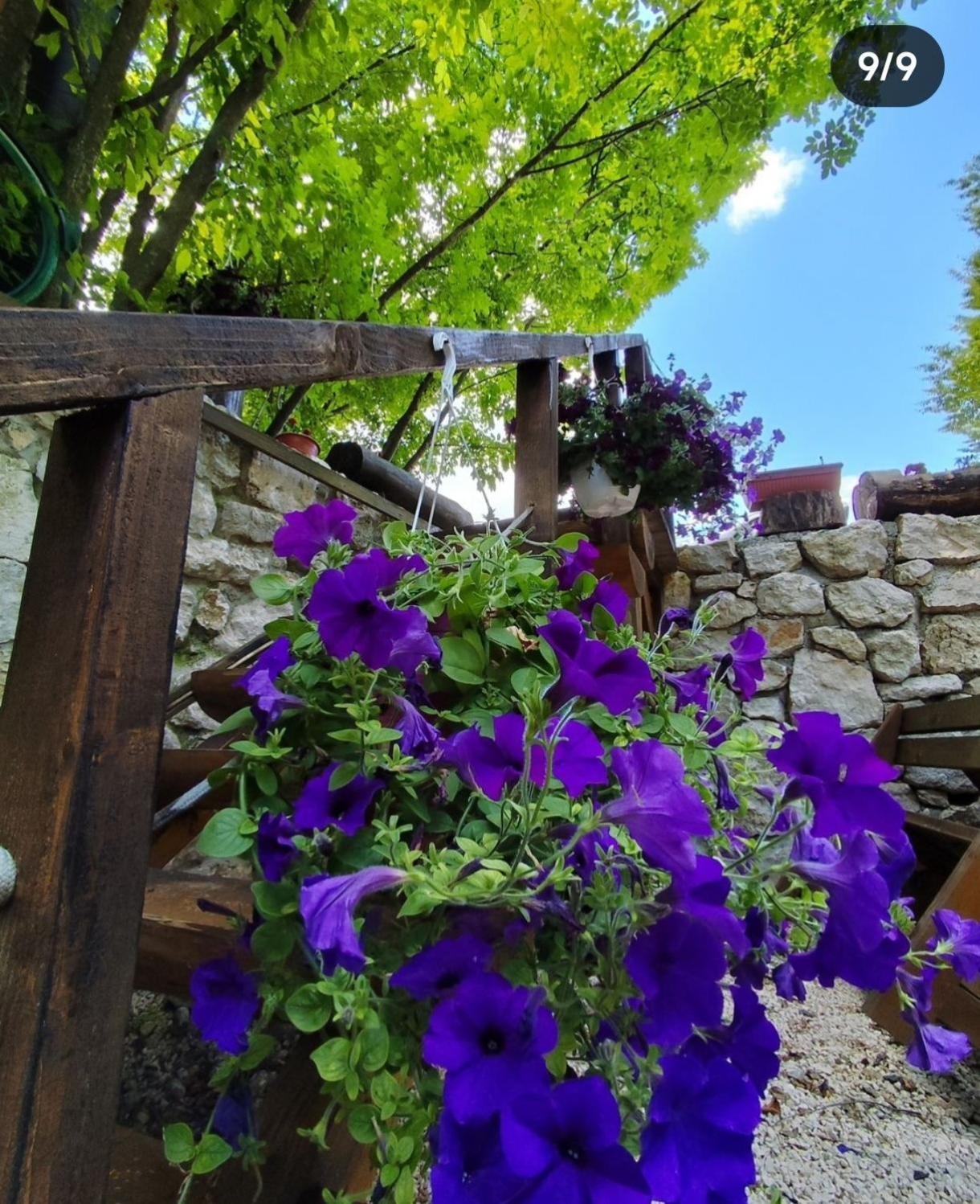 Villa Brvnara Fairy Tale Cetinje Exterior foto